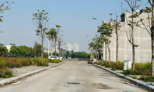 Bán lô siêu đẹp tại KĐT Bắc Đầm Vạc, Vĩnh Yên. DT 250m2