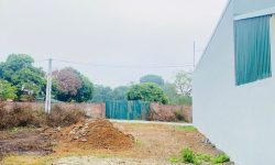 Bán đất hai đầu đường trước sau Ngoại Trạch, Bình Xuyên, Vĩnh Phúc