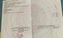 Bán 100 m² khu Gò xoan Thanh Vân gần chợ  b2 Quốc lộ 2C kinh doanh thợ sầm uất phun thổ cư đường quy hoạch 13,5m