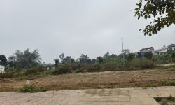 Bán đất Sau Núi, Hội Hợp, Vĩnh Yên, Vĩnh Phúc. Sau lưng là vườn hoa rộng