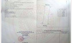 Bán 2 đất đấu giá cạnh Khu Công Nghiệp Tam Dương, Vĩnh Phúc