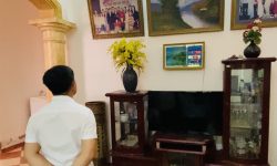 Bán đất rộng gần 700m2 tặng nhà vườn cạnh Hồ Bảo Sơn, Liên Bảo, Vĩnh Yên, Vĩnh Phúc