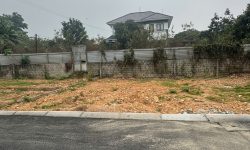 Bán đất giáp KĐT Parkhill Thành Công, Định Trung, Vĩnh Yên. Giá rẻ
