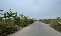 Bán đất khu dịch vụ Tích Sơn, Vĩnh Yên, Vĩnh Phúc. View vườn hoa cực thoáng