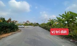 Bán đất Dịch Vụ Tích Sơn – trung tâm TP Vĩnh Yên