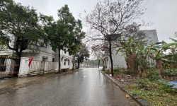 Hàng hiếm ven hồ – Đông Hưng, Đồng Tâm, Vĩnh Yên