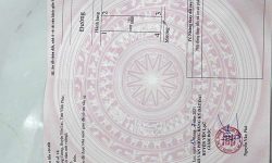 B25 Dịch Đồng, Đồng Cương, Yên Lạc em còn lô duy nhất gần trường gần mọi tiện ích
