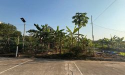 Bán lô Cạnh Góc Khu May Mặc, Kim Long, Tam Dương. DT 100m2, mt 5m