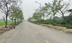 Bán đất dịch vụ Lai Sơn, Đông Tâm, Vĩnh Yên. Dt 100m2 view cánh đồng
