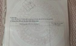 Bán đất phân lô mặt phố Hoàng Hoa Thám, Đồng Tâm, Vĩnh yên, Vĩnh Phúc