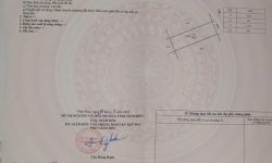 Bán đất trong khu đô thị Nam Vĩnh Yên, Thanh Trù, Vĩnh Yên. Dt 85m2