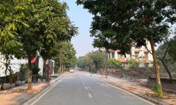 Đất phân lô khu Chung Cư VCI – Đồng Nưa- Định Trung- Vĩnh Yên.