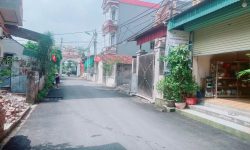 Vị trí đắc địa trục chính Vị Trù – Thanh Trù, trung tâm phát triển Nam Vĩnh Yên. 100m² full thổ cư đường 2 ô tô.