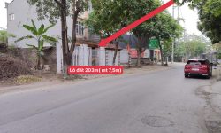 Bán đất mặt đường Tô Hiến Thành, Đồng Tâm, Vĩnh Yên. DT203,2m2 kinh doanh đẹp.