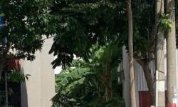 Bán 84,5m2 đất kinh doanh mặt đường Nguyễn Lương Bằng, Thanh Trù, Vĩnh Yên