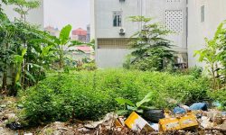 Bán đất mặt đường Lê Quý Đôn, Liên Bảo, Vĩnh Yên, Vĩnh Phúc. DT 115m2