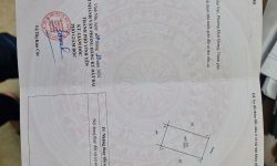 Bán đất biệt thự khu A Nam Đầm Vạc, Khai quang, Vĩnh yên, Vĩnh Phúc. Giá chỉ 40 triệu/m2