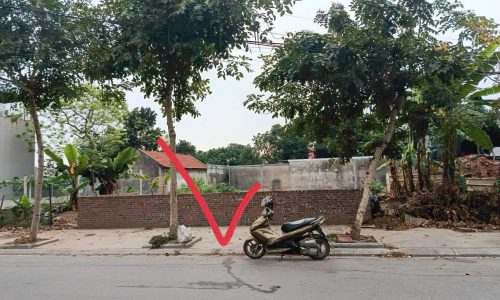 Bán lô đất Băng 2 Tôn Đức Thắng, Khai Quang, Vĩnh Yên. DT 200m2, mt 10m,