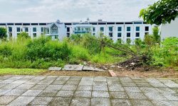 Bán đất khu đô thị Park Hill Thành Công, Vĩnh Yên, Vĩnh Phúc