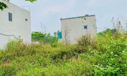 Bán đất dịch vụ Hán Lữ, Khai Quang, Vĩnh Yên, Vĩnh Phúc. Dt 102m2 Kinh doanh đẹp