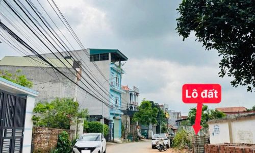 Cần bán ô đất trục chính Tam Lộng, Bình Xuyên, Vĩnh Phúc. Kinh doanh được