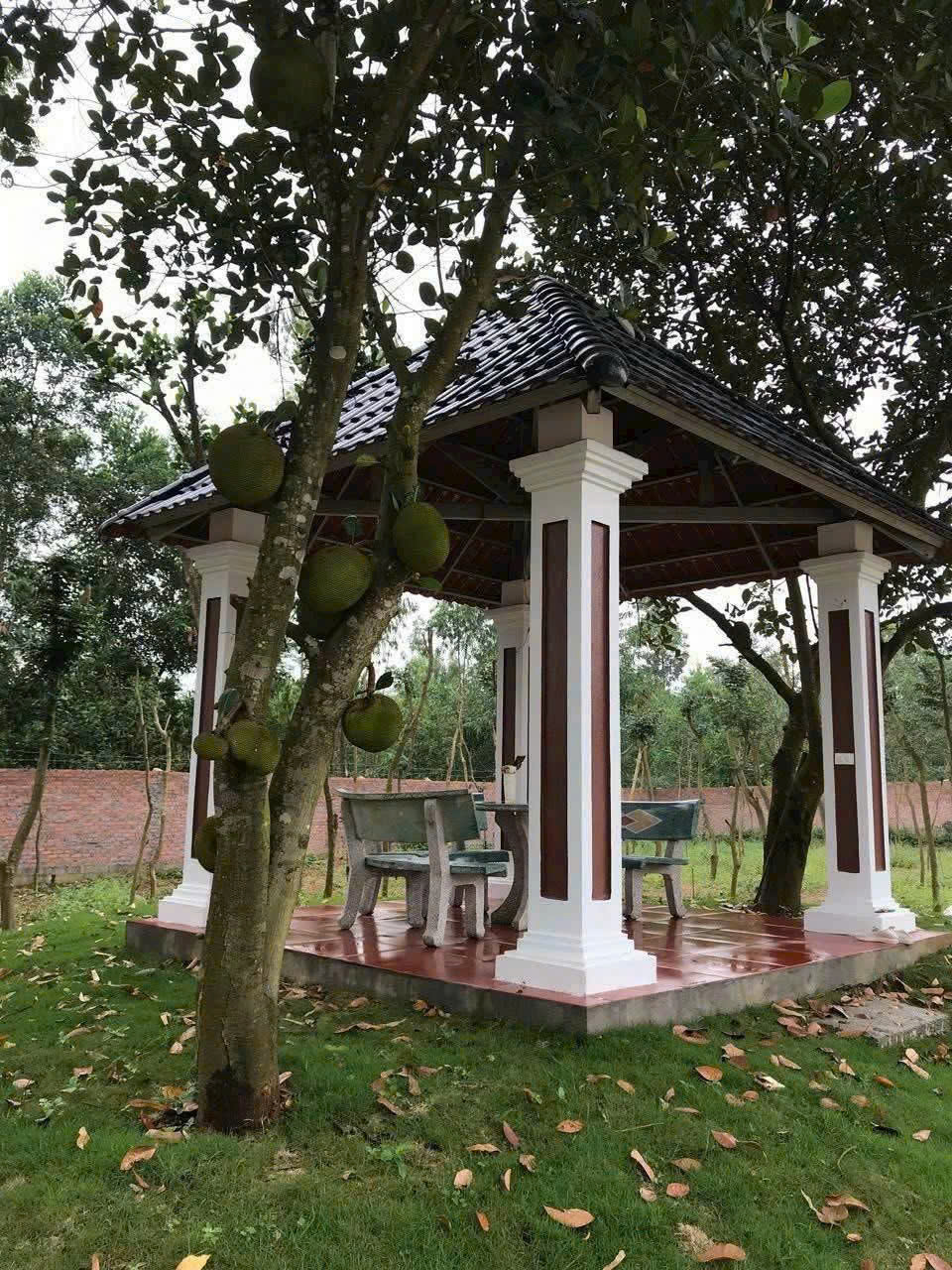 🏠 Chính chủ bán gần 3000m2 đất ( 420m2 đất ở, còn lại là đất vườn)