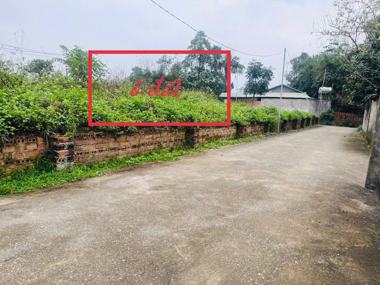 BÁN GẤP LÔ ĐẤT ĐẸP GẦN TRƯỜNG LÁI HOÀNG HOA- TAM DƯƠNG DT106m MT8m sẵn sổ GIÁ 470tr SĐCC