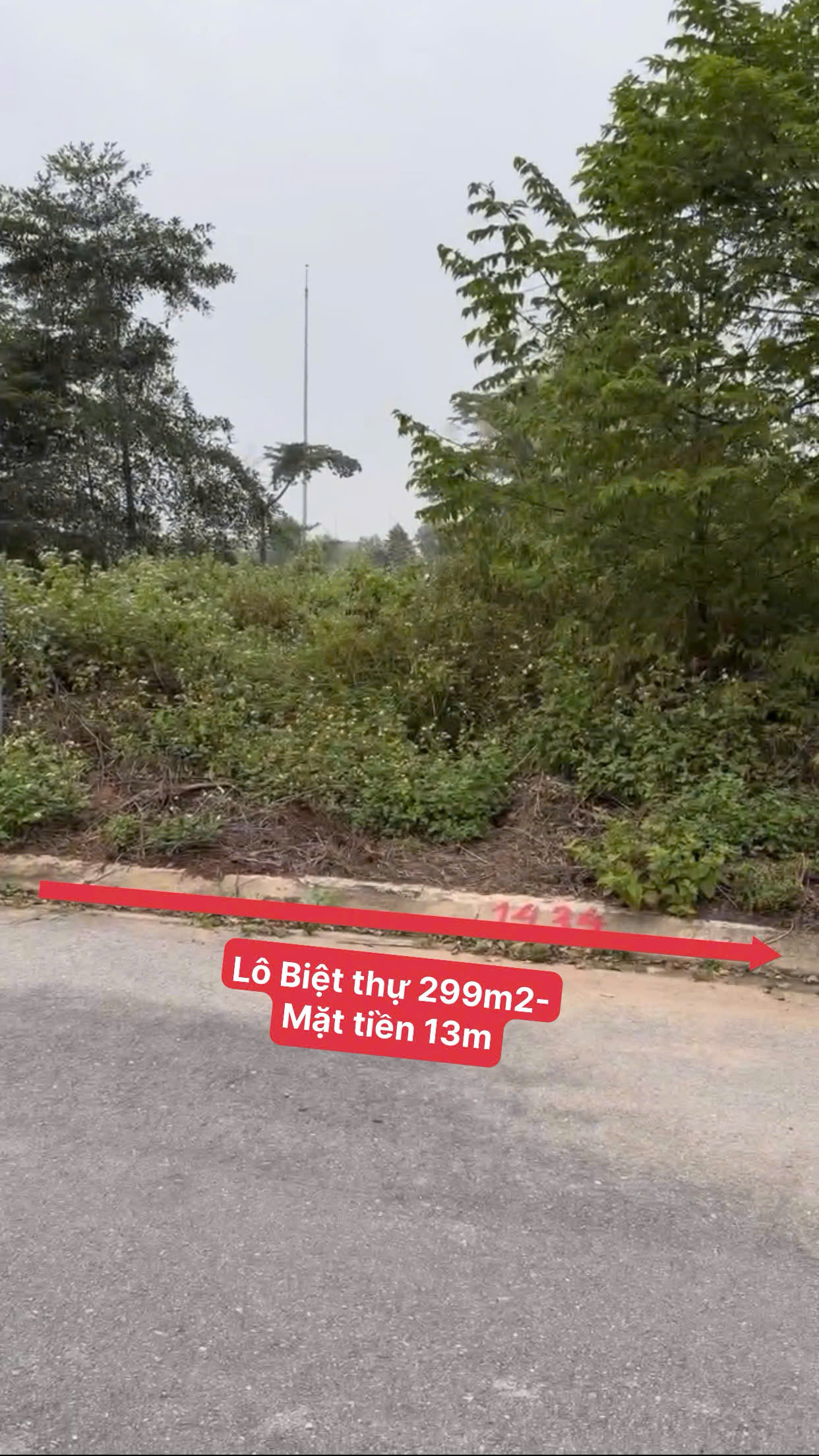 🔥 SIÊU PHẨM BIỆT THỰ NHÀ VƯỜN MẬU LÂM – KHAI QUANG, 299m² MT13m – GIÁ ĐẦU TƯ CHỈ 26,5TR/m