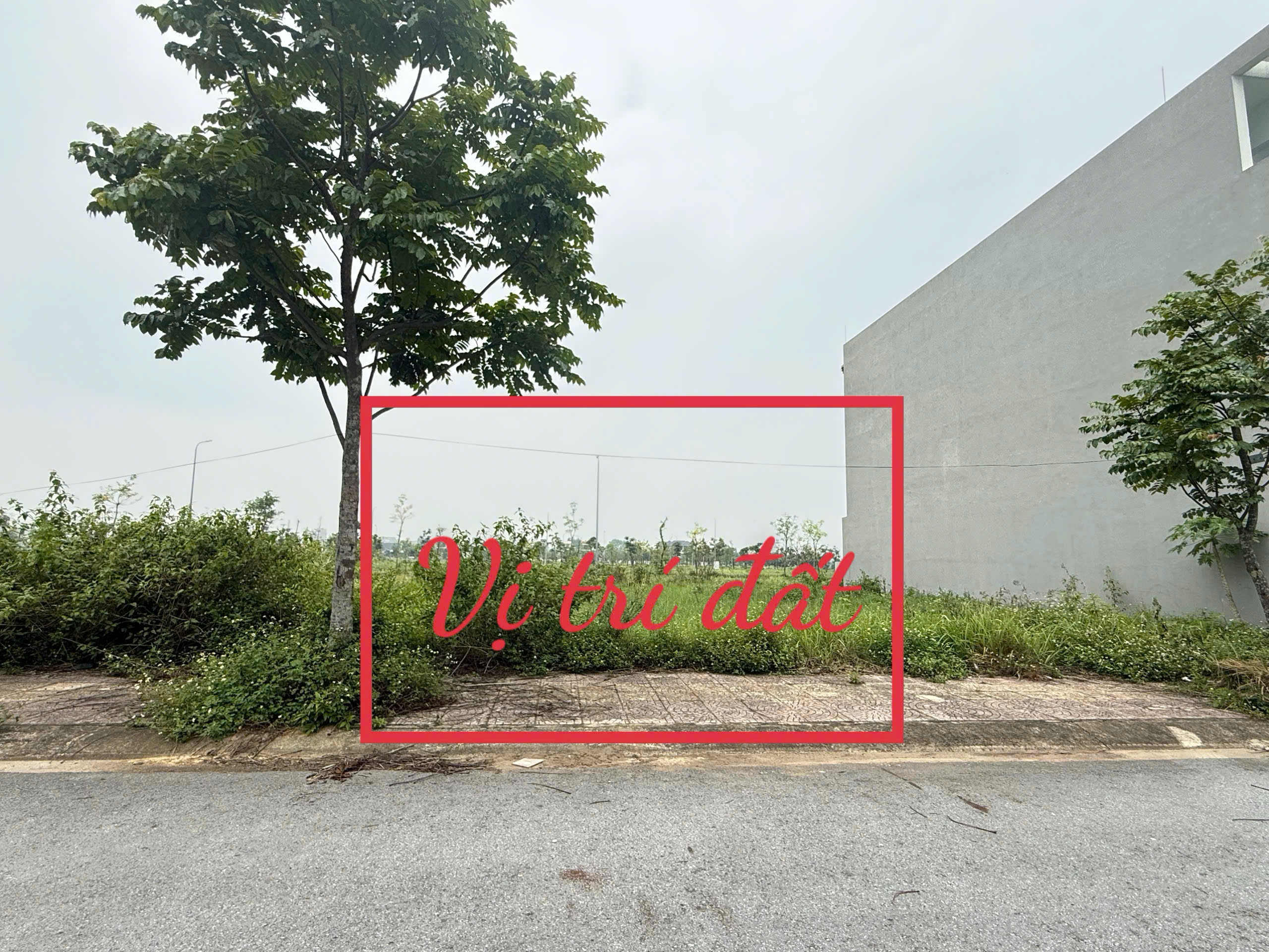 CHÍNH CHỦ BÁN GẤP LÔ ĐẤT ĐẸP NAM VĨNH YÊN VỊ TRÍ VÀNG BĂNG 2 ĐƯỜNG 33M DT100m2 MT5m 3,9 TỶ