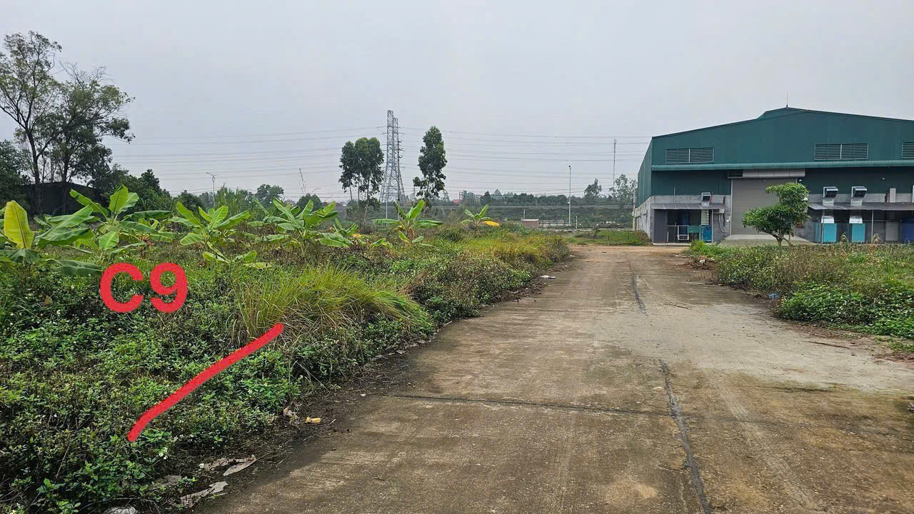 BÁN LÔ ĐẤT ĐẸP NGAY NÚT GIAO IC4 TRƯỜNG MẦM NON KIM LONG THỦ PHỦ KCN TAM DƯƠNG 100m2 MT5m