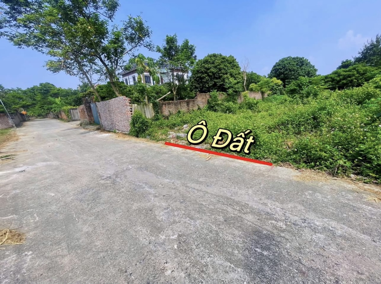 Chính chủ bán gấp lô đất đẹp Hoàng Hoa, Tam Dương DT124,3m MT5m đường ô tô giá chỉ 950tr
