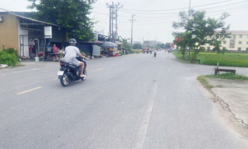 Bán đất trục chính kinh doanh DT306 tại Duy Phiên, Tam Dương, Vĩnh Phúc