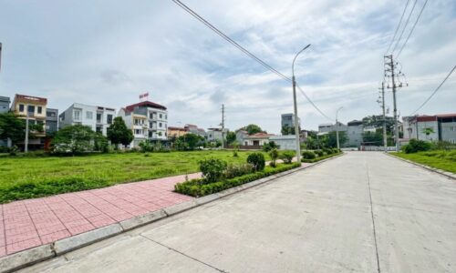 Bán đất Đồng Cái Ngang, Hợp Thịnh, Tam Dương , Vĩnh Phúc cũ