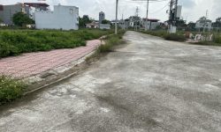 Bán đất phân lô đối diện bệnh viện sản nhi tại khu Đồng Cái Ngang, Hợp Thịnh, Tam Dương, Vĩnh Phúc