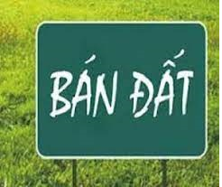 Bán nhanh ô đất đường Quang Trung, Hội Hợp, Vĩnh Yên