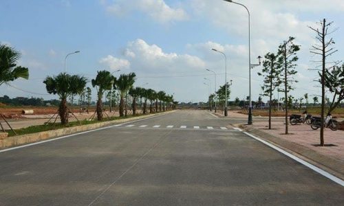 Cần bán đất dãy M, Khu May Mặc, Kim Long, Tam Dương, Vĩnh Phúc