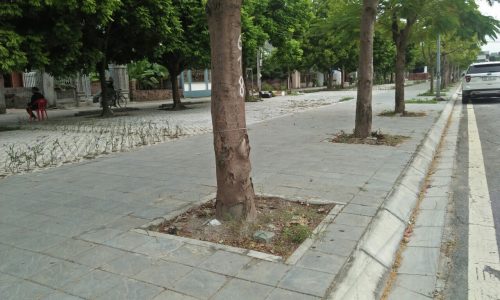 Bán lô đất đẹp, hiếm mặt phố TT Đông Anh, lô góc, kinh doanh 60m2 x MT 5m giá 2.8 tỷ, 083.664.6314.