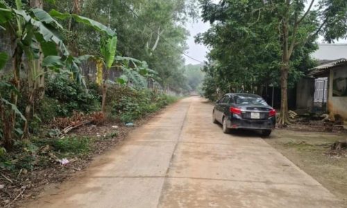 Ra hàng F0 tại Gia Khánh, gần chợ Vồ