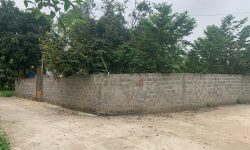 Bán ô góc 2 mặt tiền Kim Long, Tam Dương, Diện tích hơn 600m
