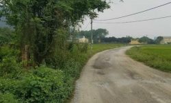 Bán đất trục chính Đồng Mận, Xã Kim Long, Tam Dương, Vĩnh Phúc diện tích 61m2 giá 650 Triệu