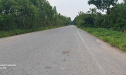 Bán 495m2 đất Chùa Tiếng, Xã Hương Sơn, Bình Xuyên trục chính TL302B