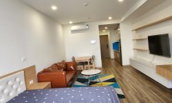 Bán nhanh chung cư cao cấp The City Light đầy đủ nộ thất 40m2 giá chỉ 1,1 tỷ