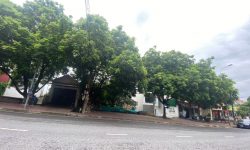 Bán 120m2 trục chính kinh doanh Chùa Hà Vĩnh Yên