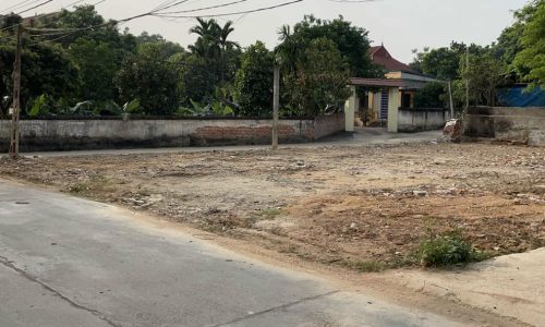 Chính chủ mới ra hàng f0 trục chính Xuân Mới Thanh Vân Tam Dương
