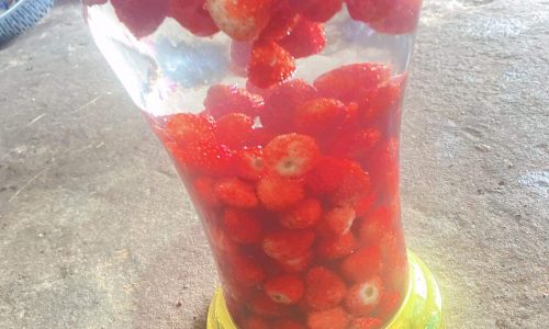 CHO THUÊ ĐẤT TẠI VĨNH YÊN