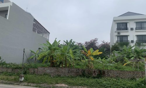 🌇Cần Bán ô đất  đường Xuân Thuỷ . KĐT Lạc Hồng Liên Bảo Vĩnh Yên