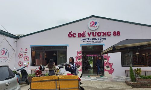 Cho thuê 250m2 đất trống tại Nguyễn Tri Phương, Liên Bảo, Vĩnh Yên, Vĩnh Phúc