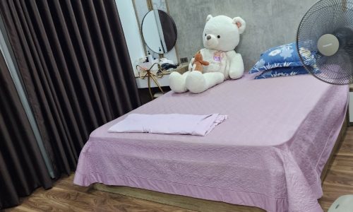 Cho thuê nhà riêng siêu đẹp tại Khai Quang, Vĩnh Yên, Vĩnh Phúc