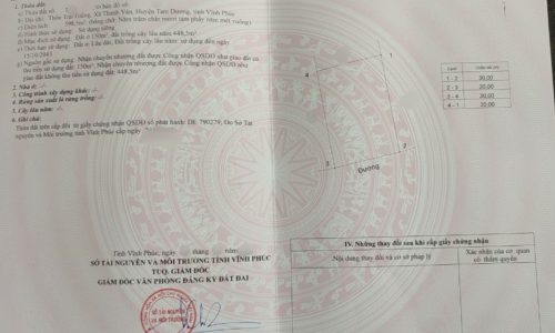 Bán 800m2 đất tại Trại Giềng, Thanh Vân, Tam Dương, Vĩnh Phúc. Giá rẻ