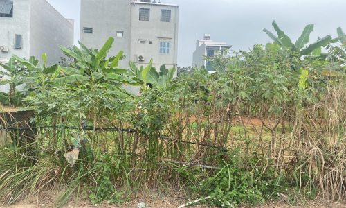 Bán đất trong khu đô thị Quảng Lợi, Tích Sơn, Vĩnh Yên